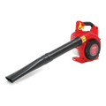 Honda HHB25 Blower