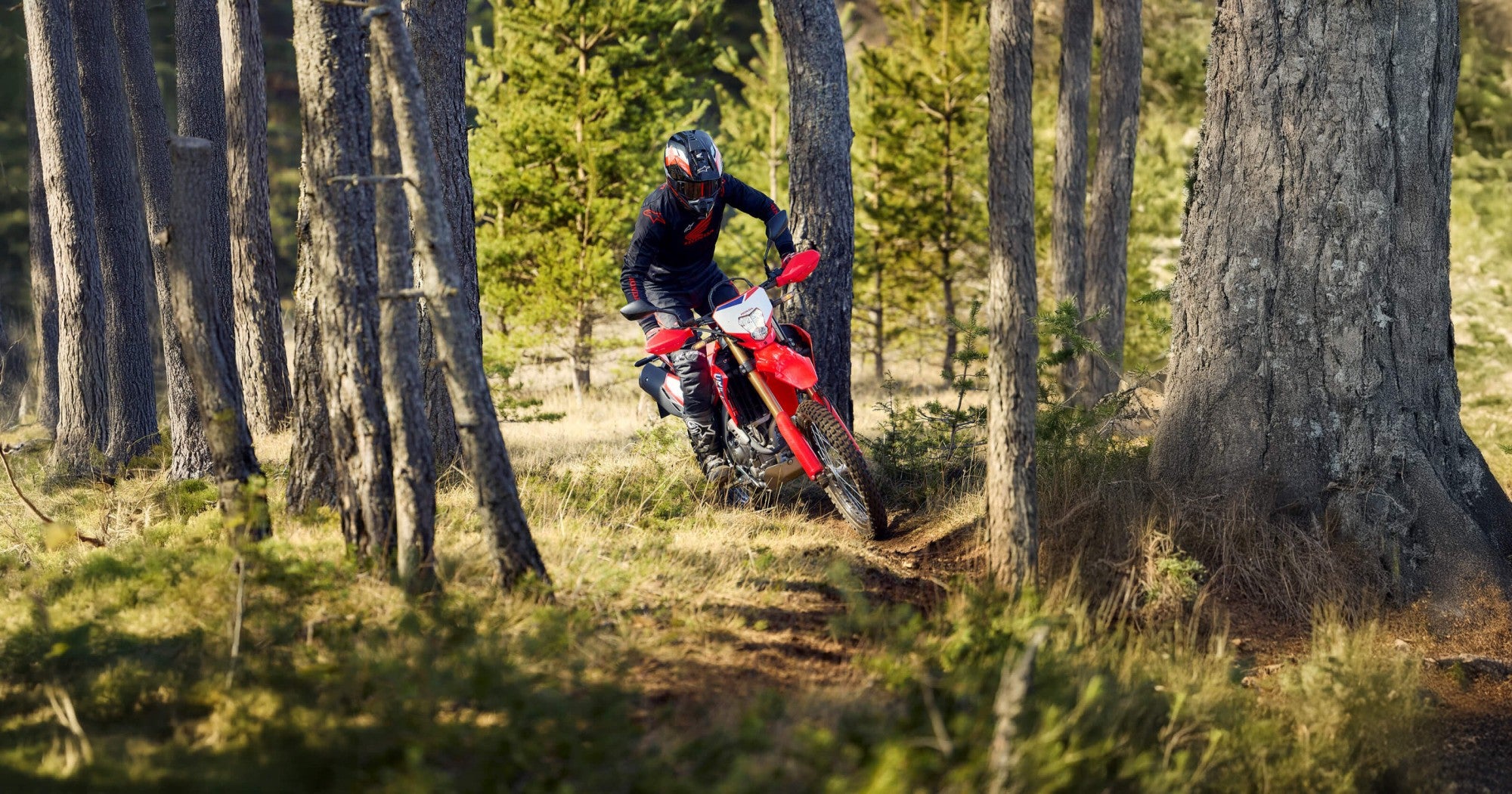 2026-crf300l-product-page-hero-desktop-3200x1680.jpg