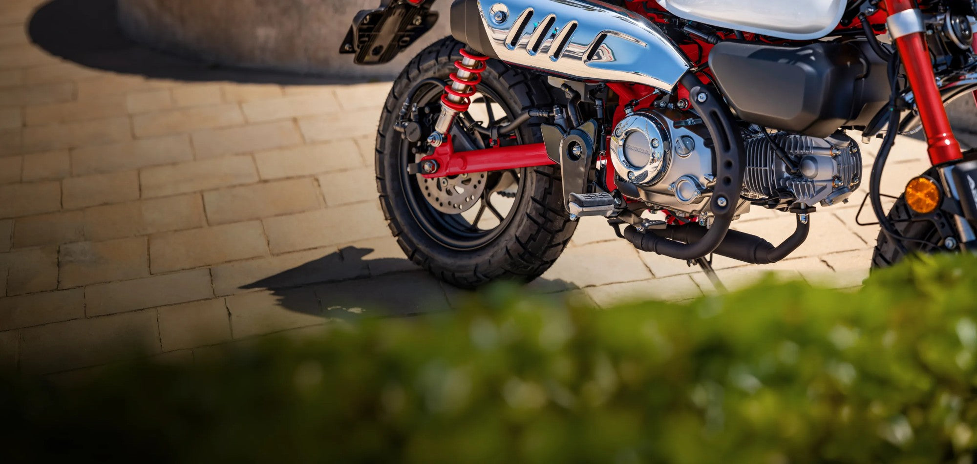 2026-monkey-product-page-content-banner-desktop-01-3200-x-1520.webp