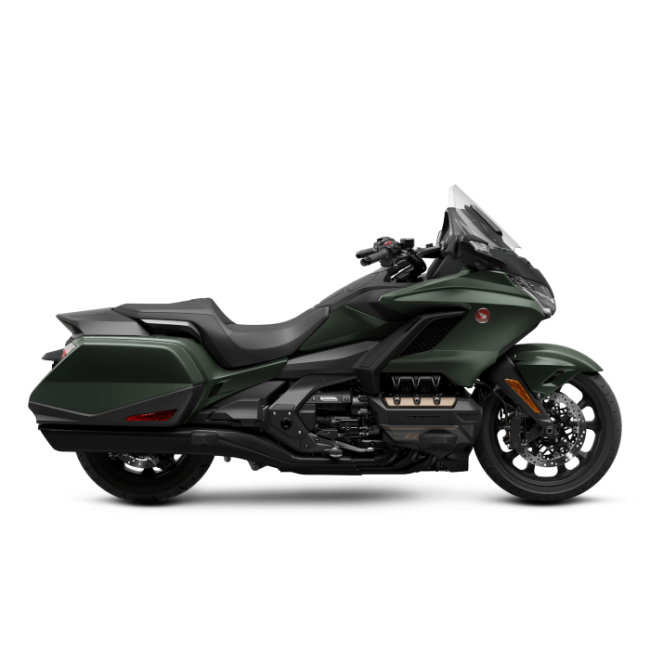 Honda Gold Wing Bagger
