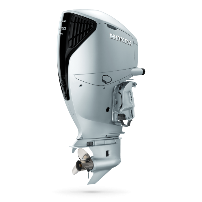 6283--outboard-clear-cuts-2025-bf250-dbw-silver.png