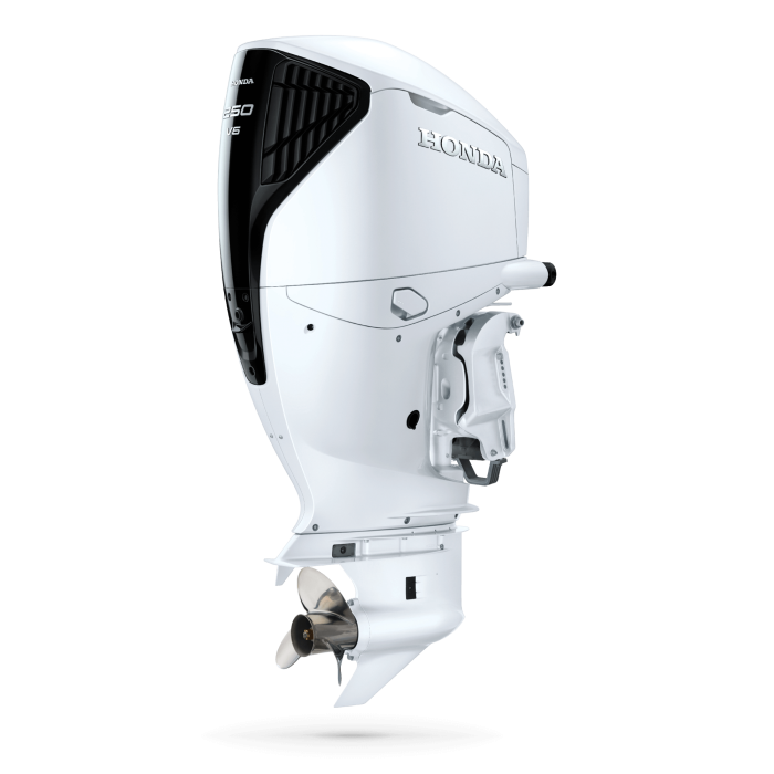 6286--outboard-clear-cuts-2025-bf250-dbw-white.png